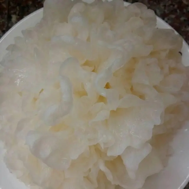 f703738da9773912ebb03db94d3fe81d377ae204.webp.jpg f703738da9773912ebb03db94d3fe81d377ae204.webp.jpg