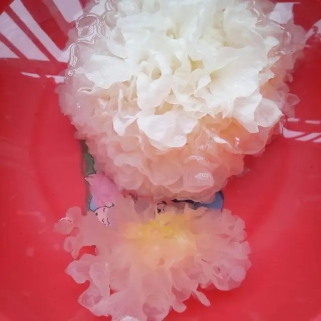 241f95cad1c8a786739ba41dd02fa73870cf5018.webp.jpg 241f95cad1c8a786739ba41dd02fa73870cf5018.webp.jpg